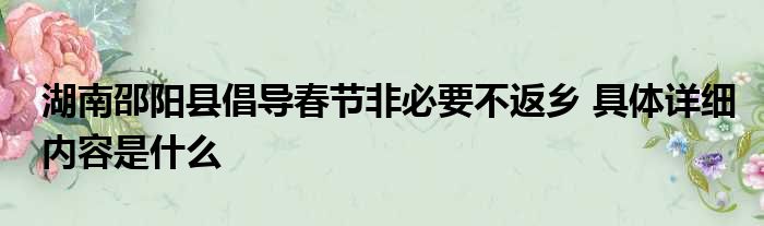 湖南邵阳县倡导春节非必要不返乡 具体详细内容是什么