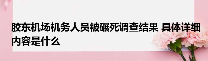 胶东机场机务人员被碾死调查结果 具体详细内容是什么