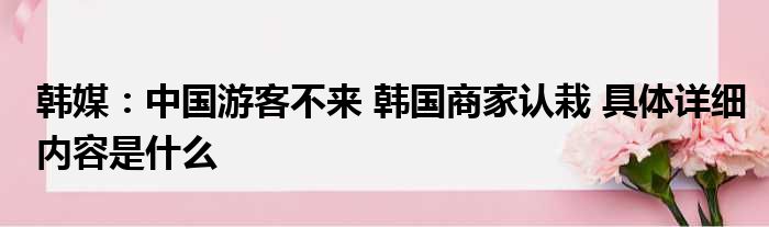 韩媒：中国游客不来 韩国商家认栽 具体详细内容是什么