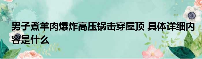 男子煮羊肉爆炸高压锅击穿屋顶 具体详细内容是什么