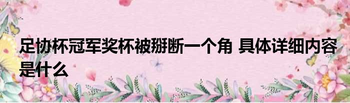 足协杯冠军奖杯被掰断一个角 具体详细内容是什么