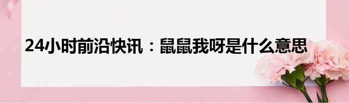 24小时前沿半岛电子下载入口
：鼠鼠我呀是什么意思