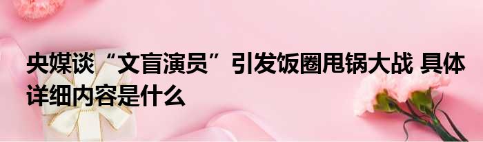 央媒谈“文盲演员”引发饭圈甩锅大战 具体详细内容是什么