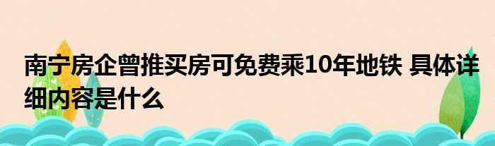 南宁房企曾推买房可免费乘10年地铁 具体详细内容是什么