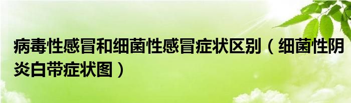 病毒性感冒和细菌性感冒体育bd
区别（细菌性阴炎白带体育bd
图）