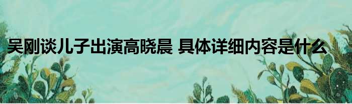 吴刚谈儿子出演高晓晨 具体详细内容是什么