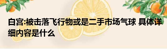 白宫:被击落飞行物或是二手市场气球 具体详细内容是什么