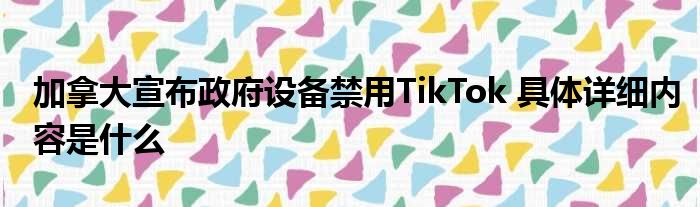 加拿大宣布政府设备禁用TikTok 具体详细内容是什么