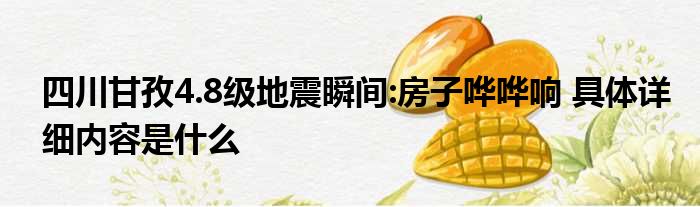 四川甘孜4.8级地震瞬间:房子哗哗响 具体详细内容是什么