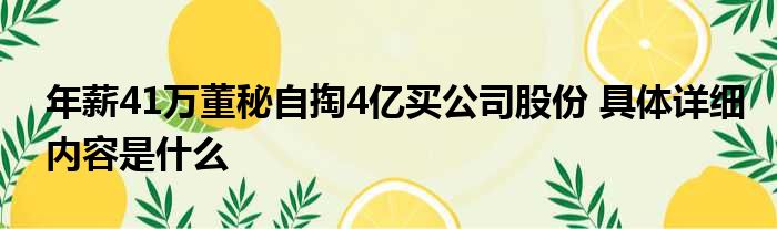 年薪41万董秘自掏4亿买公司股份 具体详细内容是什么