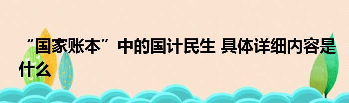 “国家账本”中的国计民生 具体详细内容是什么