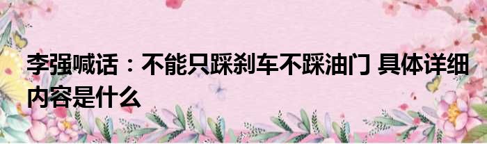 李强喊话：不能只踩刹车不踩油门 具体详细内容是什么