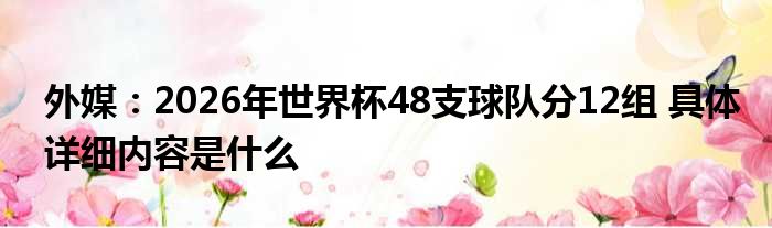 外媒：2026年世界杯48支球队分12组 具体详细内容是什么