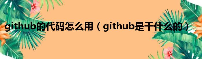 github的代码怎么用（github是干什么的）