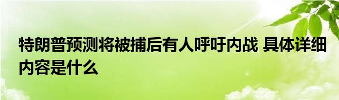 特朗普预测将被捕后有人呼吁内战 具体详细内容是什么