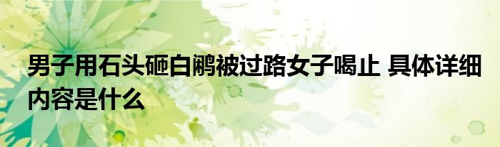 男子用石头砸白鹇被过路女子喝止 具体详细内容是什么