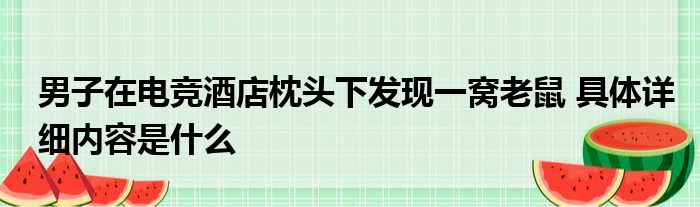 男子在电竞酒店枕头下发现一窝老鼠 具体详细内容是什么