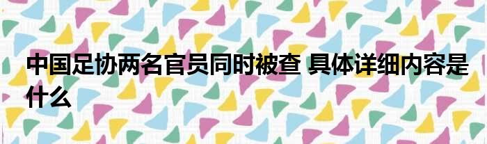 中国足协两名官员同时被查 具体详细内容是什么