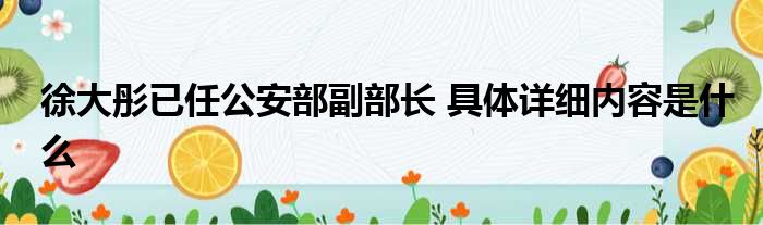 徐大彤已任公安部副部长 具体详细内容是什么