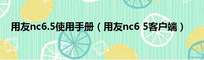 用友nc65教程_用友nc6.5使用手册_用友nc65操作手册