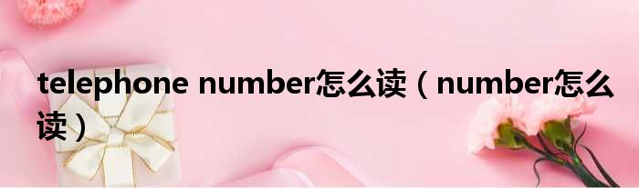 telephone number怎么读（number怎么读）
